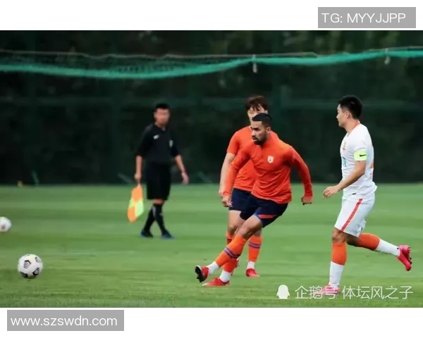 武汉足球队进攻战术解析与球员配合深度剖析